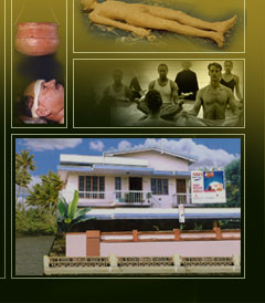 Ayur Sanctuay, Devivilasam, Champakara, Ayurveda & Homeopathic  Hospital, Karukachal, Kottayam, Kerala.